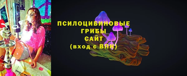 гидра Лабытнанги