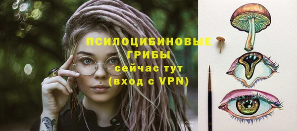 гидра Лабытнанги
