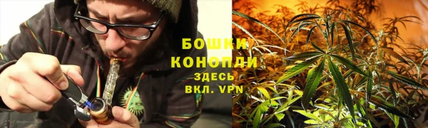 скорость Ладушкин