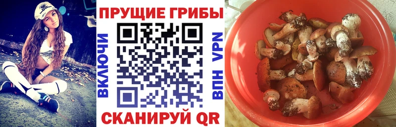 Псилоцибиновые грибы мицелий  Купить  Саки 