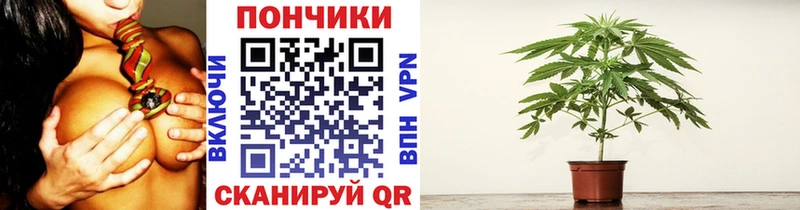 Купить  Саки  МАРИХУАНА THC 21% 